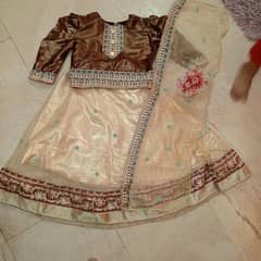 colour half white and berrown