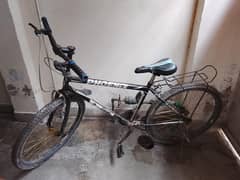 phoenix cycle