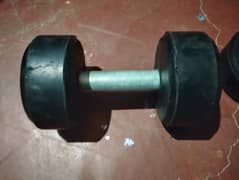 5kg dumbbells