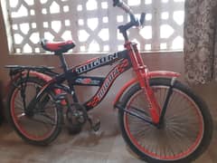TRIGON CYCLE BEST
