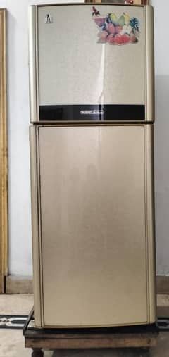 Orient Fridge full size