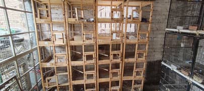 4 Cage each Cage  5 portions Red Pied Dove 10 piece Goldian and Bengli