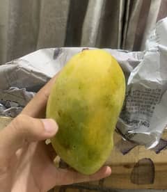 Fresh Multani Mangoes | 20kg Carton