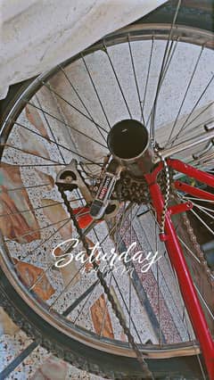 cycle phonix