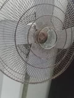 Stand Fan