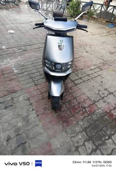 scoty for sale