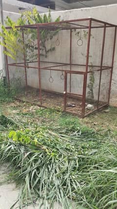 cages for birds