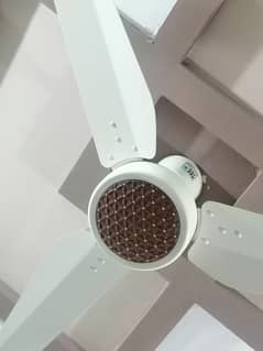 ceiling