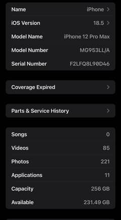iPhone 12 pro max 256gb JV