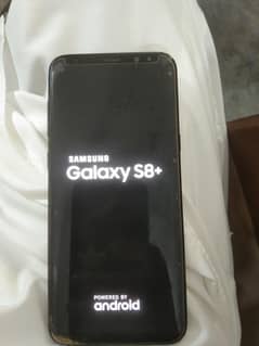 S8