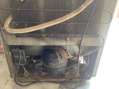 harrier fridge