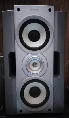 Gift for Music Lovers