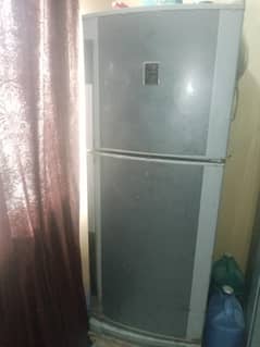 used fridge hai