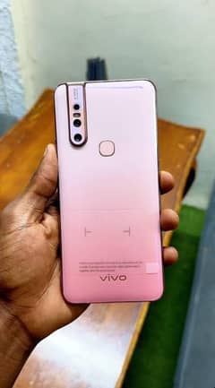 vivo