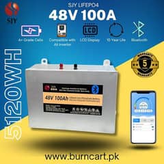 48v 100ah battery with 4 year warranty