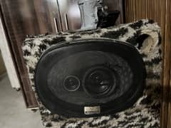 Pioneer
