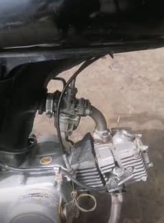 habib 70