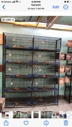 Love birds java ring neck Cages and accessories for sale