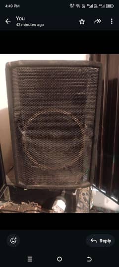 speaker 10inch