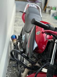Ybr 125 for sale