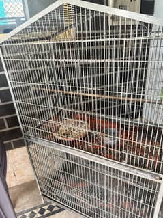 Parrot cage
