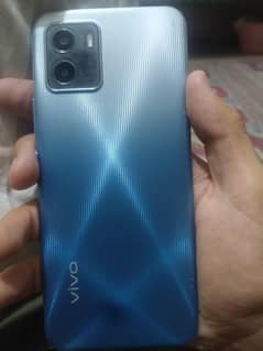 vivo