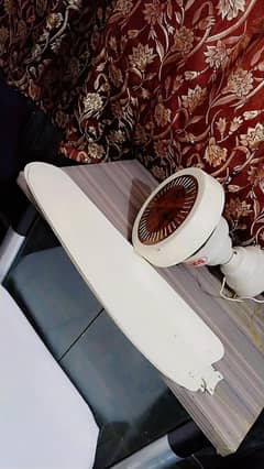 sufi