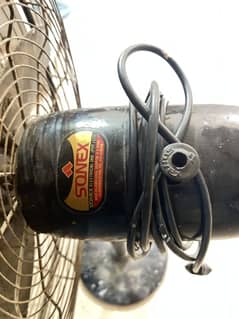 SONEX