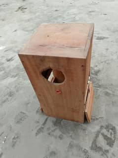 Parrot