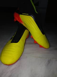 Adidas predator size 41