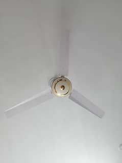 CELLING