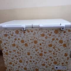 Freezer full condition