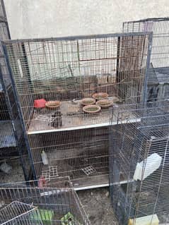 Cages for sale best for love birds