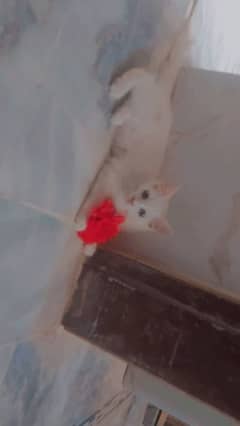 Russian