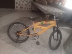 Bicycle with gears