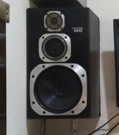 pioneer