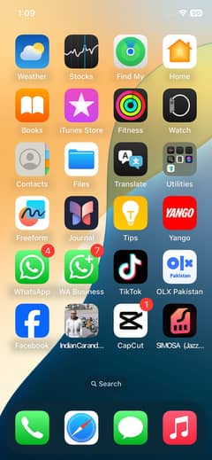 iPhone