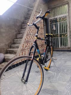 phoenix cycle