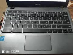Acer