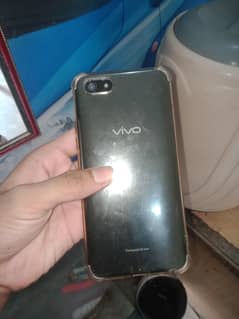 vivo