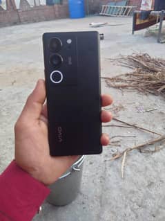 Vivo v 29