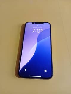 12 pro max pta approved