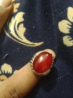 Just interested person contact