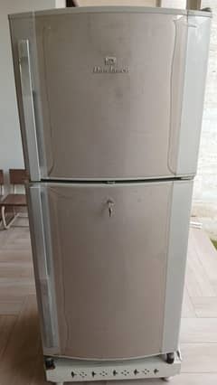 Used Medium size Dawlance fridge in excellent condition.