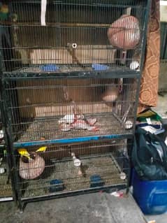 cage for sale