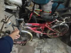 cycle
