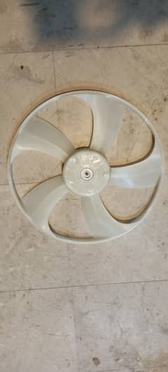 fan