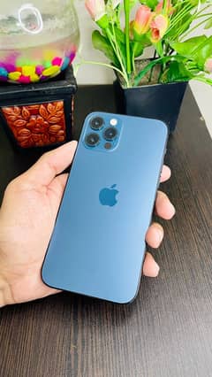 Iphone 12 Pro PTA approved