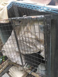 dog cage