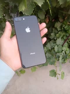 NON PTA 8plus(03169659528)whtsapp msg only
